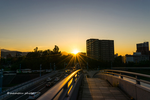 _DSC5975