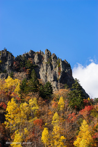 _DSC0094