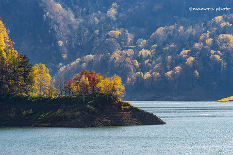 _DSC0088