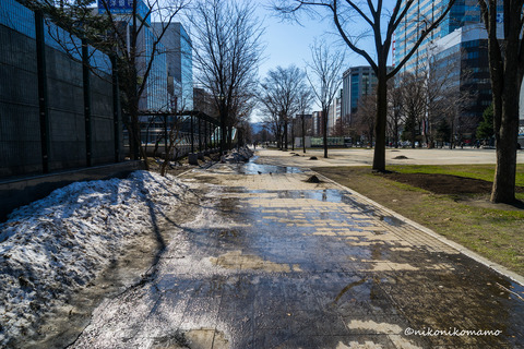 _DSC3796