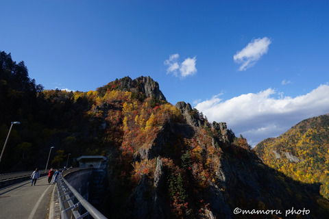 _DSC0082
