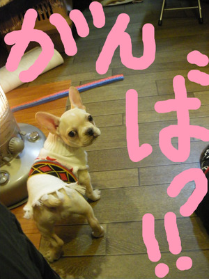 BlogPaint