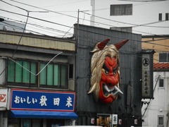 DSCN8155