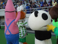 DSCN8619
