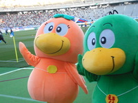 DSCN8625