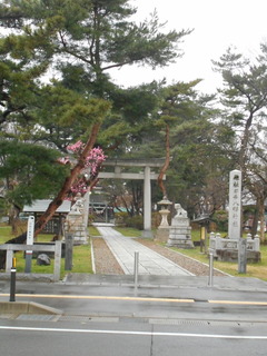 DSCN8219