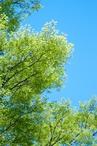 a0001_013451