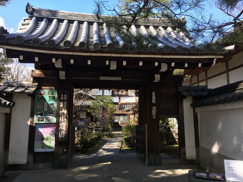 退蔵院1