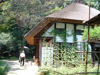 shirasu1