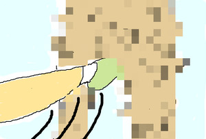 BlogPaint