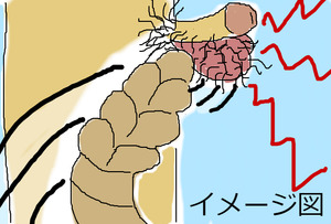 BlogPaint