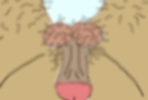 anigif