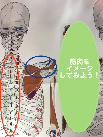 1−②2 のコピー