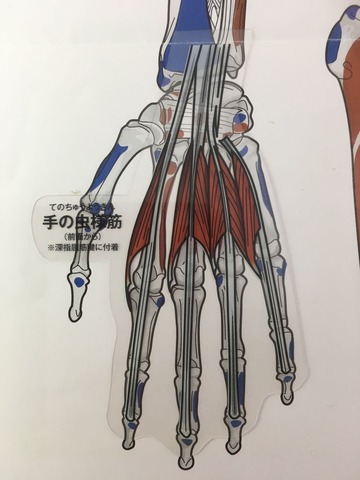 42①1