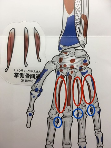 43①2 のコピー