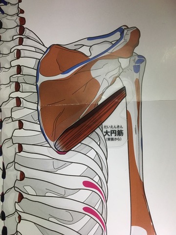 14-①1