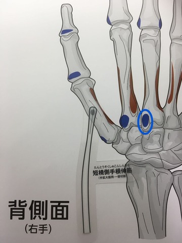 31②2 のコピー