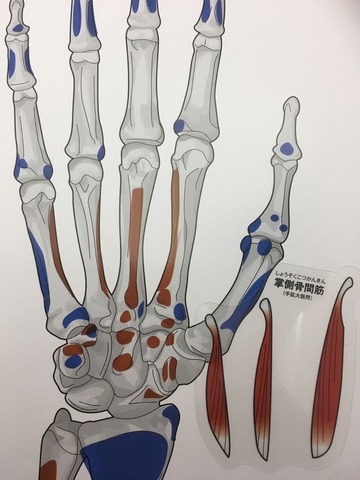 43②2