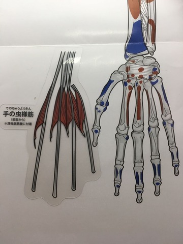 42①2