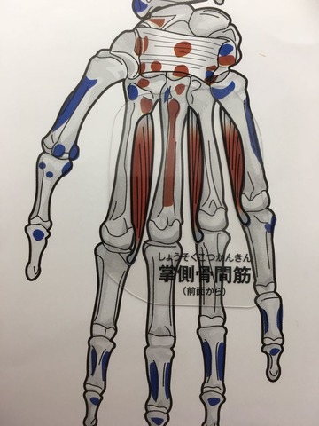 43②1