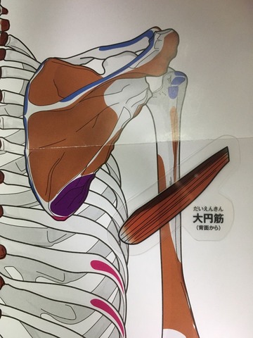 14-①2