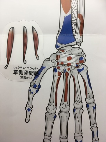 43①2