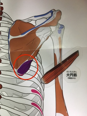 14-①2 のコピー