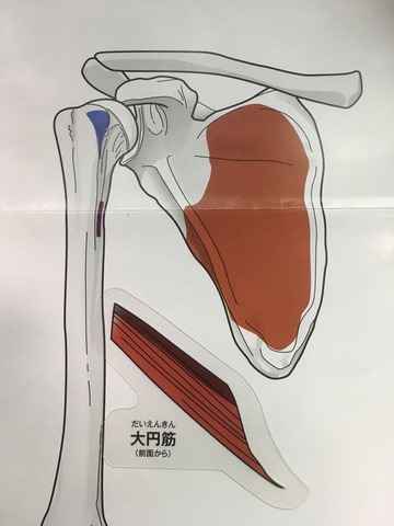 14-②2