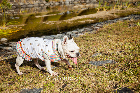 20151028-_MG_0139