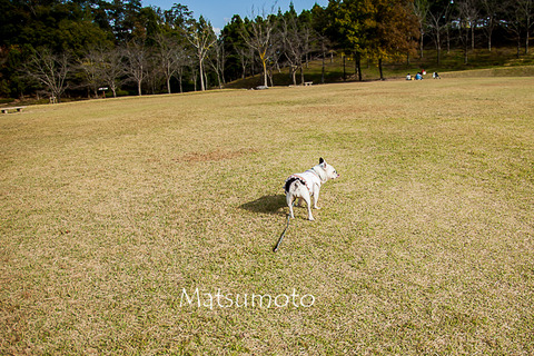 20151028-_MG_0133