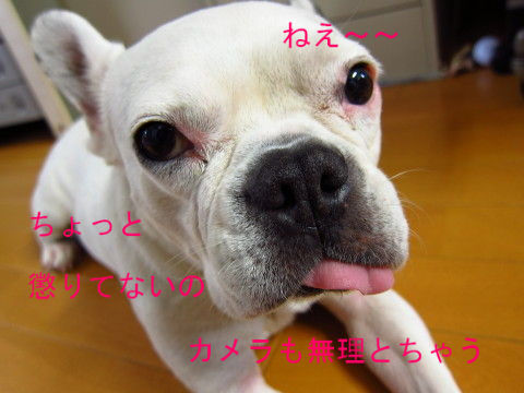 BlogPaint