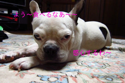 BlogPaint