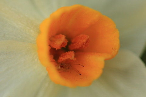 DPP_2319_1