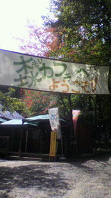 285cd96c.jpg