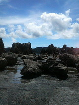 P1000045