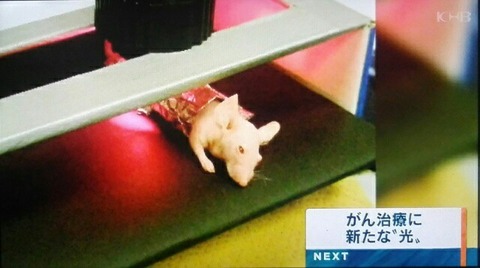 がん治療