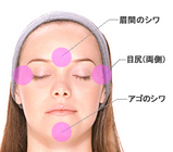 shiwa_pic02