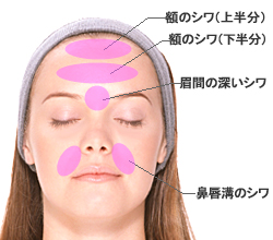 shiwa_pic01