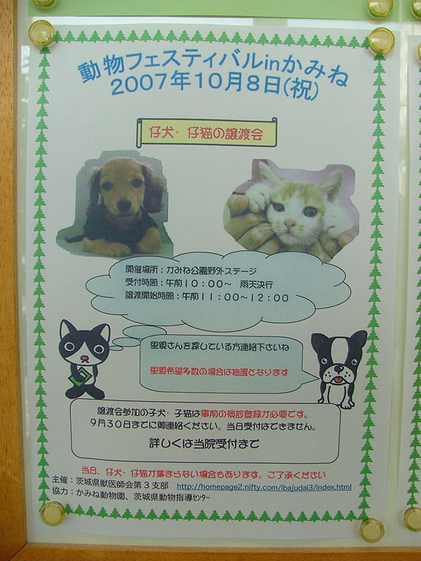 譲渡会