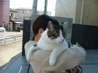 久しぶりにお散歩ですにゃ