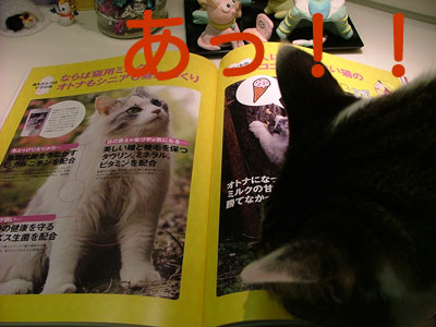すごいのにゃっ!!