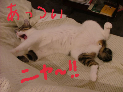 もーー
