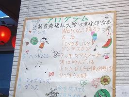 IMGP6746
