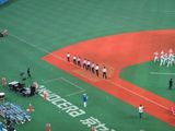 3000人 殻