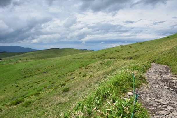 DSC_1946