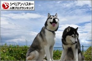 user-bannerCALHGWAJ