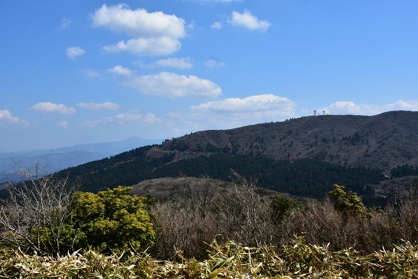 DSC_4586