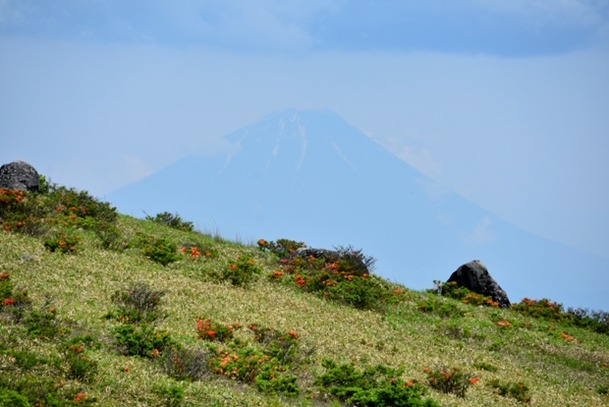 DSC_1964