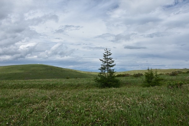DSC_1977