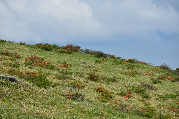 DSC_1958